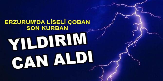 Üzerine Yıldırım Düşen Emre Öldü, Koyunu Telef Oldu