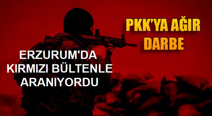 Kırmızı Bültenle Aranan Terörist Yakalandı