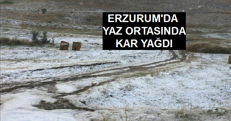 Erzurum’da yaz ortasında kar yağdı