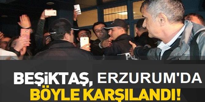 Beşiktaş Kafilesine Erzurum'da Çiçekli Karşılama