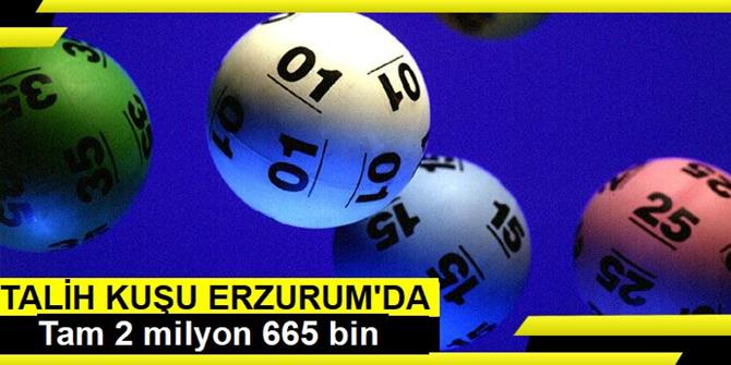 Sayısal Loto Çekildi, Talih kuşu Erzurum'a kondu