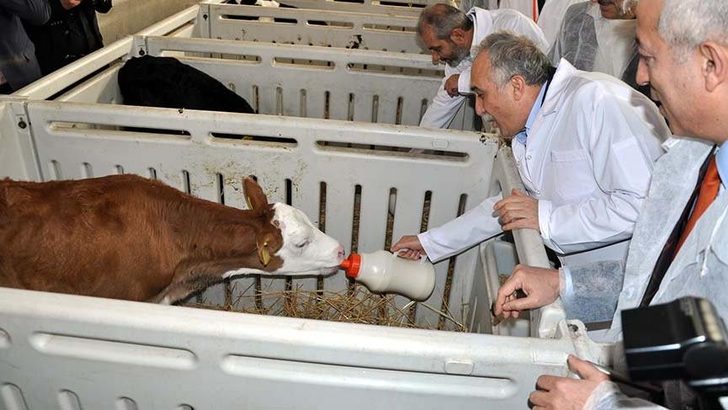 Ahmet Eşref Fakıbaba: Halkı aydınlatın