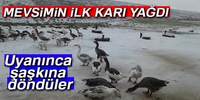 Doğu’da yüksek kesimlere mevsimin ilk karı düştü