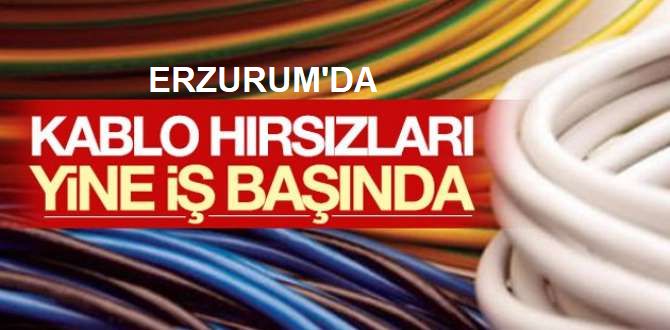 Erzurum'da okul inşaatından kablo hırsızlığı