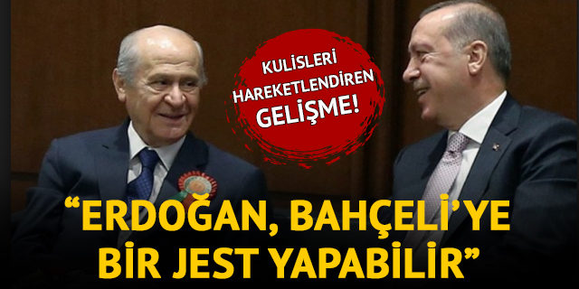 Selvi: Erdoğan, Bahçeli'ye bir jest yapabilir