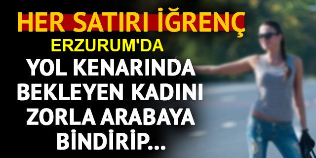 Erzurum'da korkunç olay! Yol kenarında beklerken kaçırıp tecavüz ettiler