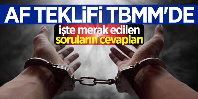 MHP'nin af teklifi ve emeklilikte yaşa takılanların durumu TBMM'de