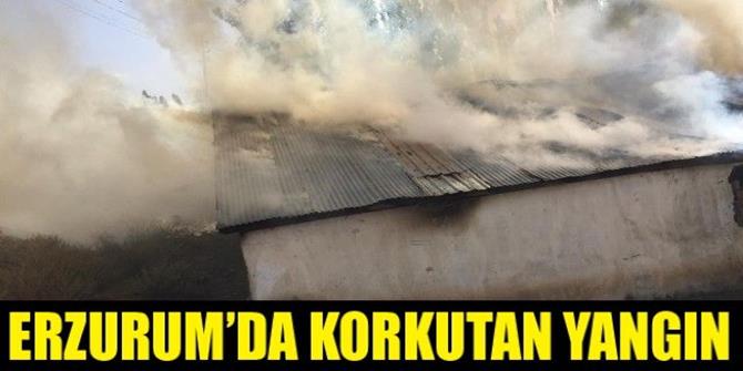 Erzurum'da korkutan yangın, 1 ev ve bin 200 balya ot kül oldu