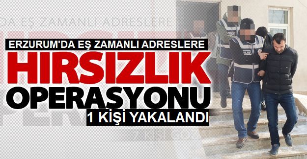 Erzurum'da Hırsızlık Operasyonu