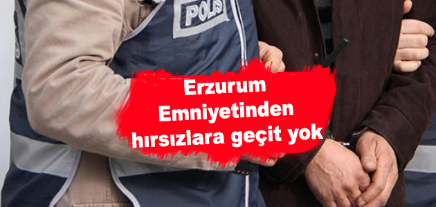 Erzurum Emniyetinden hırsızlara geçit yok