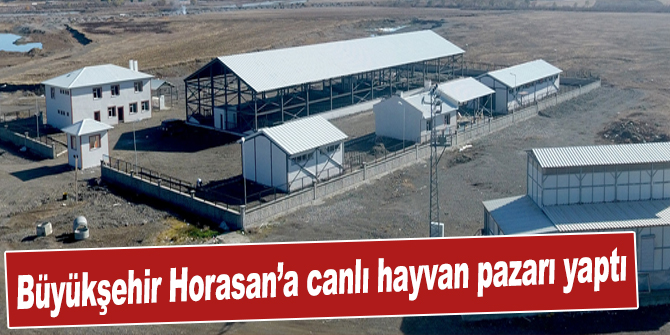 Büyükşehir Horasan’a canlı hayvan pazarı yaptı