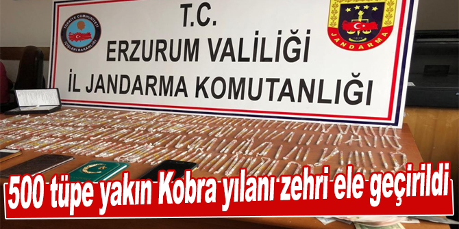 500 tüpe yakın Kobra yılanı zehri ele geçirildi