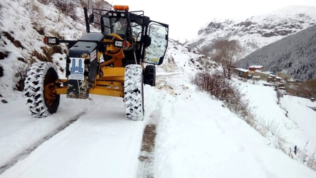 Doğu'da Kar, Tipi