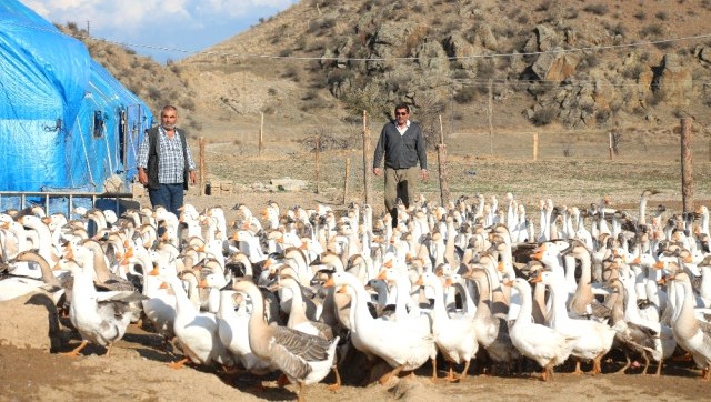 Emekli Olup Kaz Çiftliği Kurdular