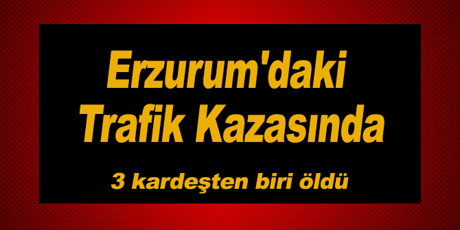 Erzurum'da Trafik Kazası