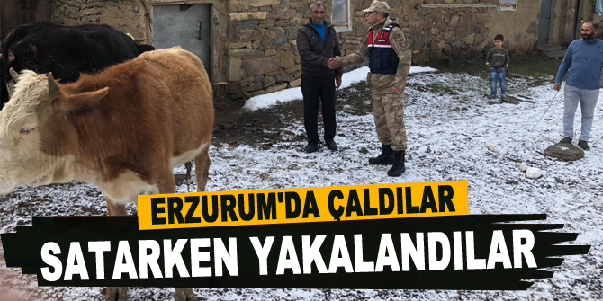 Çaldıkları hayvanları satmaya çalışınca yakalandılar