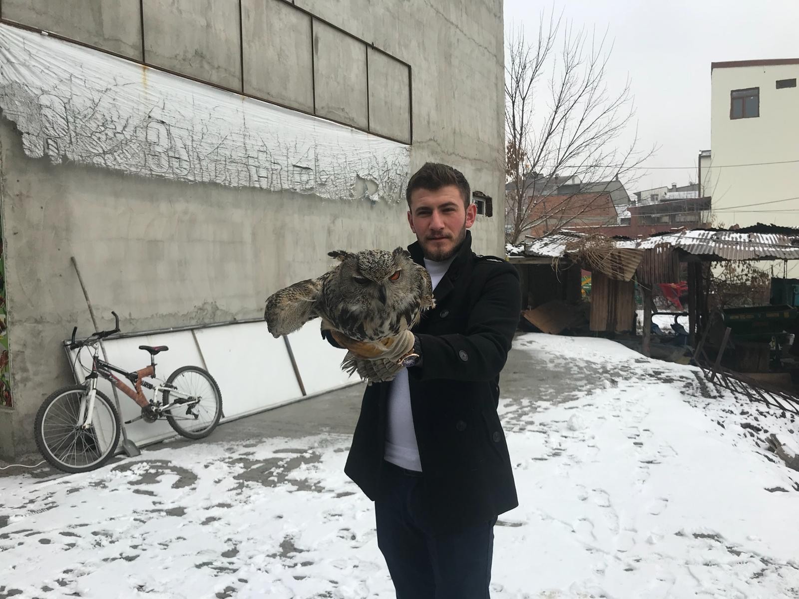 Erzurum’da yaralı baykuş bulundu