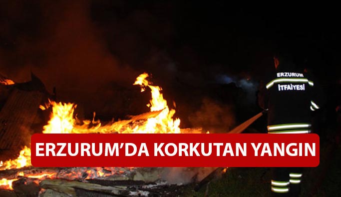 Erzurum'da depo yangını