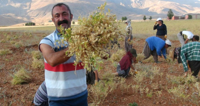 Maçoğlu, "HDP ile İttifak Yapacak" İddialarına Noktayı Koydu