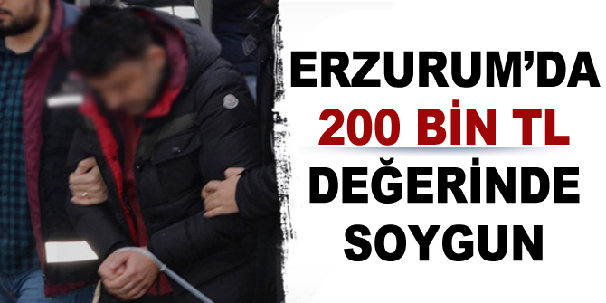 Erzurum'da 200 bİn TL değerİnde soygun