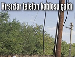Erzurum'da tel hırsızlığı sürüyor