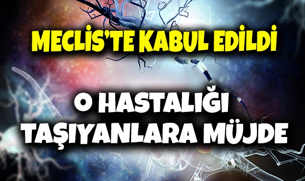 ALS, SMA hastalıklarıyla ilgili araştırma komisyonu kurulması kabul edildi