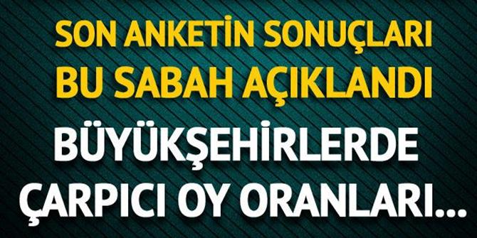 İşte partilerin ve adayların oy oranları