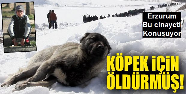 Cinayetin nedini Köpek!