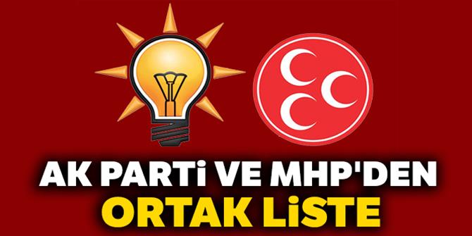 AK Parti ve MHP'den ortak liste