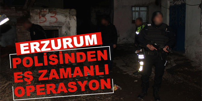 Erzurum polisinden eş zamanlı operasyon