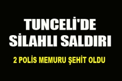 Tunceli'de silahlı saldırı