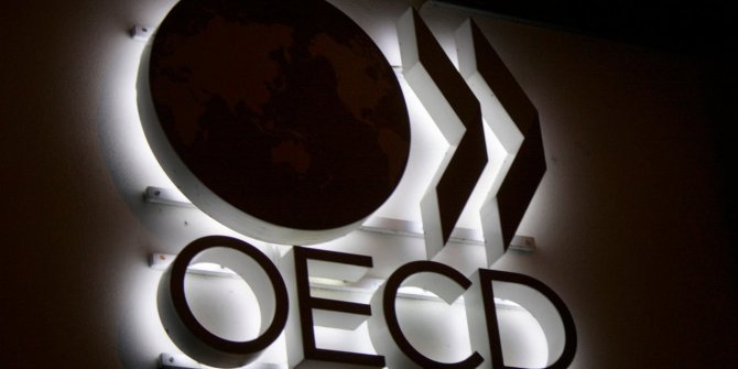 OECD'den Türkiye ekonomisi için korkutan yorum!