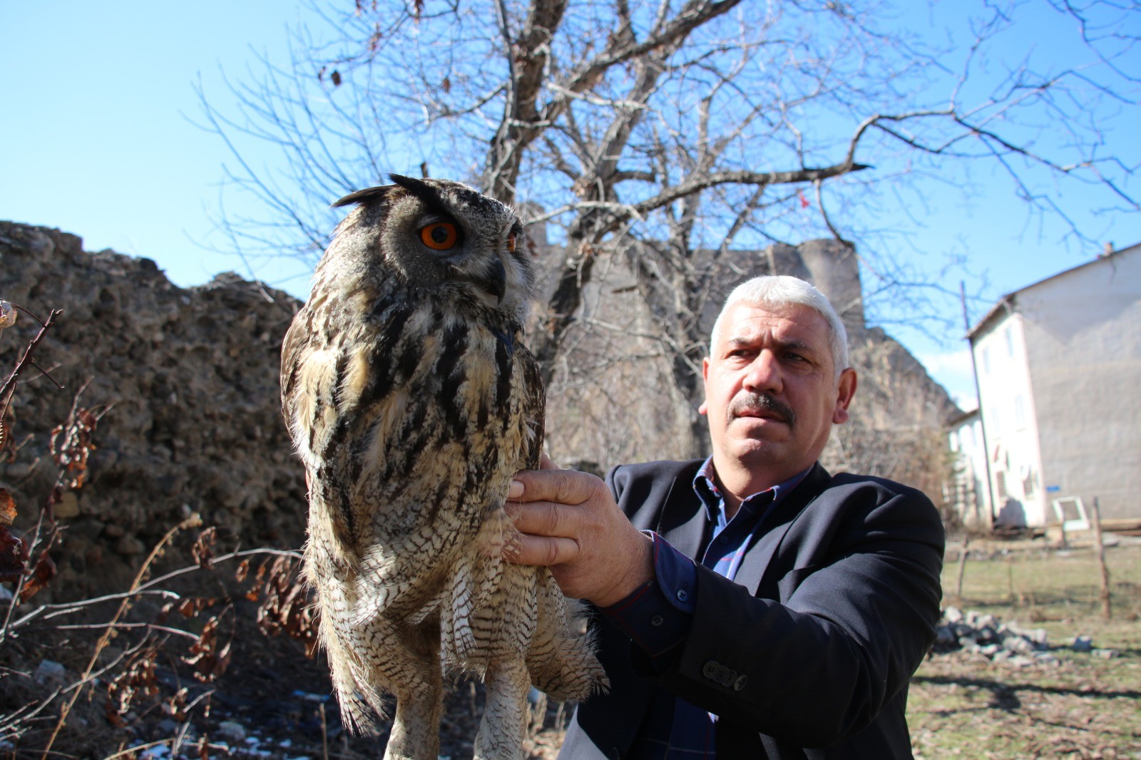 Yaralı olarak bulunan puhu kuşu tedavi altına alındı