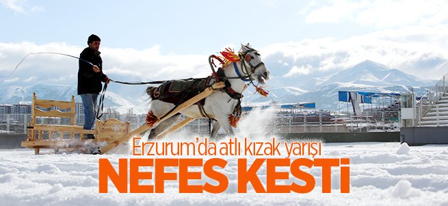 Erzurum’da "Atlı Kızak Türkiye Şampiyonası" nefes kesti