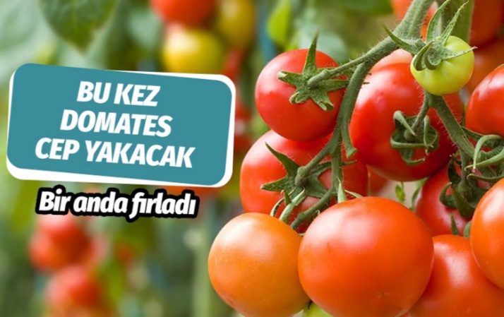 Domates fiyatı da yükselecek