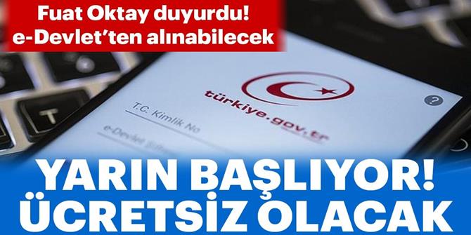 Risk Raporu e-Devlet'ten ücretsiz olarak alınabilecek