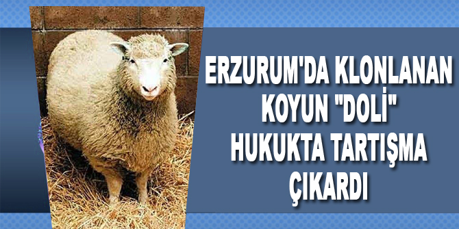 Klonlanan koyun "Doli" hukukta tartışma çıkardı