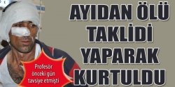 Ölü taklidi yaparak  kurtuldu