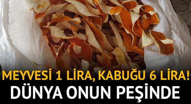 Portakalın kilosu 1 lira kabuğu 6 lira