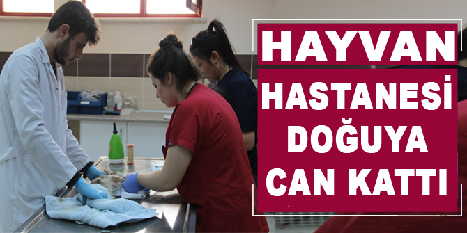 Hayvan Hastanesi doğuya can kattı