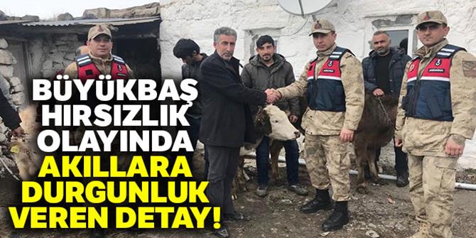 Büyükbaş hayvan hırsızlığında akıllara durgunluk veren detay