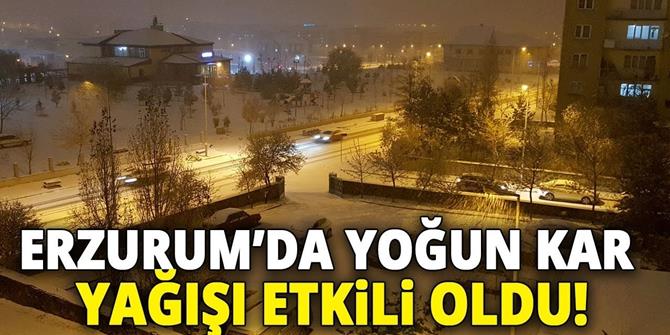 Erzurum’da kar yağışı