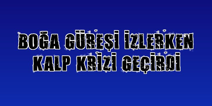 Erzurum'da Boğa güreşi izlerken kalp krizi geçirdi