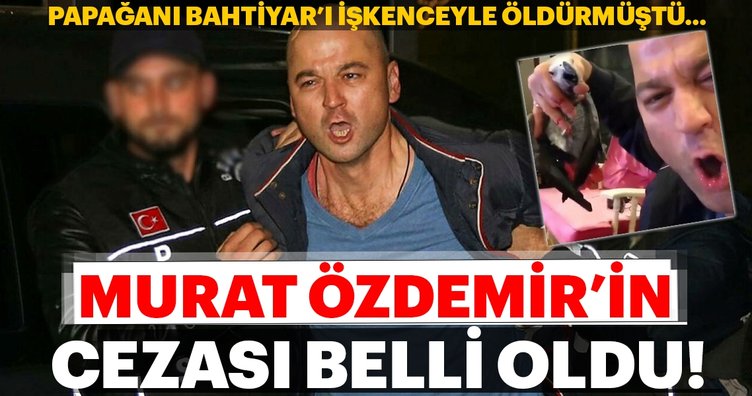 Papağana işkence yapan Murat Özdemir hakkında karar!
