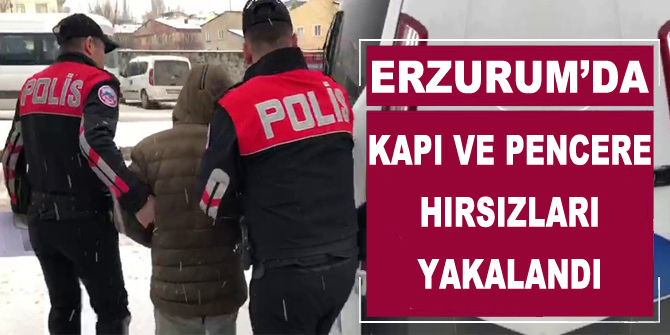 Kapı ve pencere hırsızları yakalandı