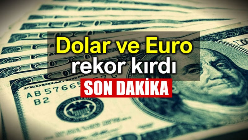 Dolar yılın zirvesinde