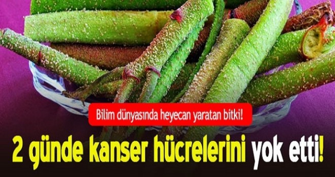 Her derde deva “ışkın”