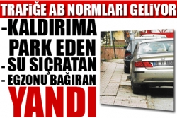 Trafiğe AB normları geliyor!