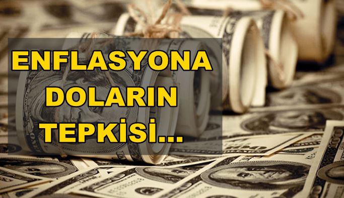 Doların enflasyona tepkisi ne oldu