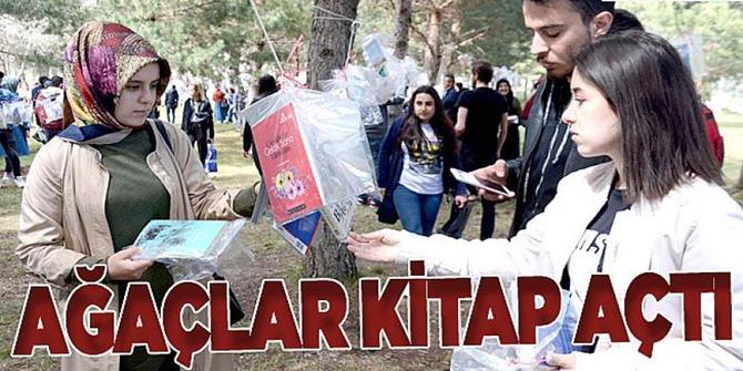 Kampüsteki ağaçlara 4 bin kitap astılar